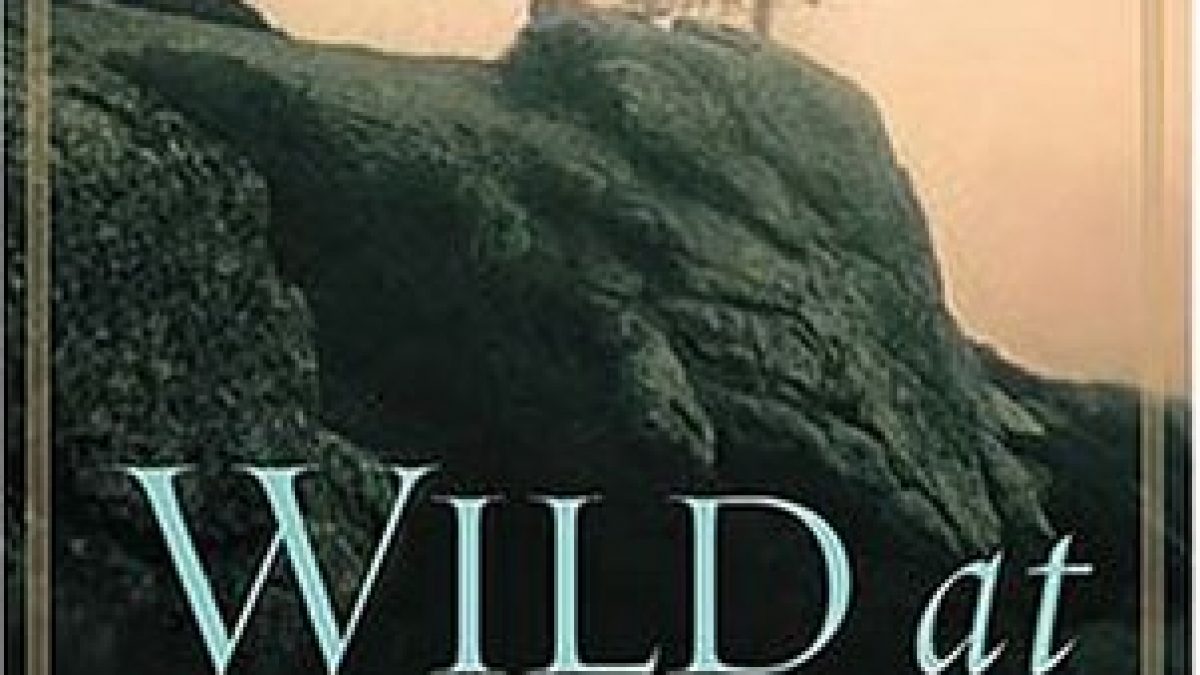 book wild at heart review